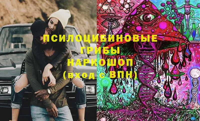 Галлюциногенные грибы Magic Shrooms  Бирюч 